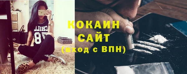 гидра Аркадак