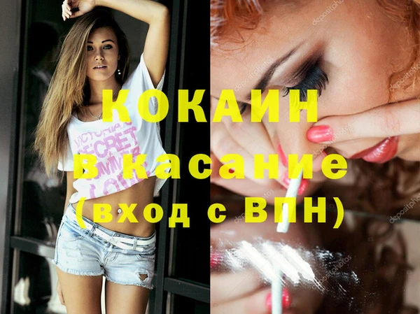 гидра Аркадак