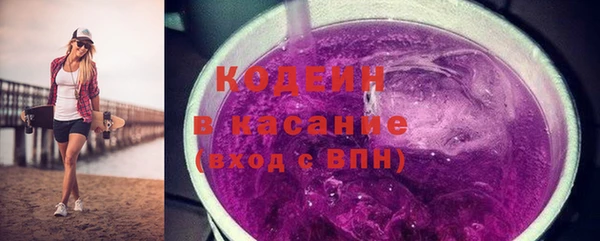 индика Армянск