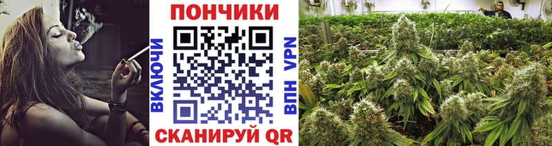 Марихуана гибрид  Протвино 